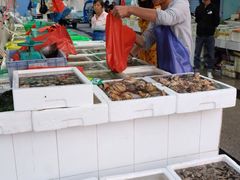 -外伶仃岛海鲜市场