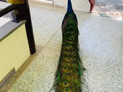 -舜耕山庄四时万和自助餐厅