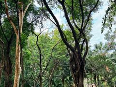 -深圳国际园林花卉博览园