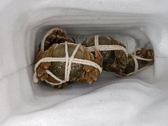 -七星龙虾城·海鲜·大闸蟹(吴江店)