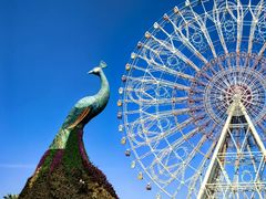 -七彩云南欢乐世界