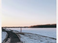 -丁香湖公园