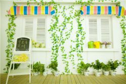 -盘子古摄影(顶务店)