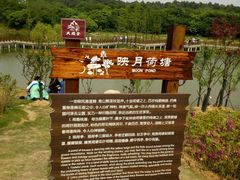 -大塘金香草谷