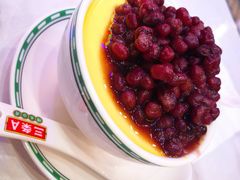 红豆鲜乳炖蛋白-三条A糖水公司(永旺梦乐城店)