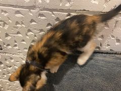 -么么咖啡(燕郊店)