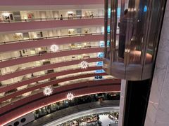 -新加坡文华东方酒店