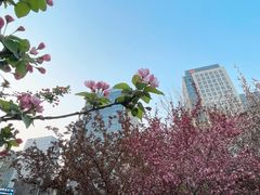 -元大都城垣遗址公园