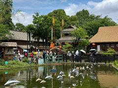 -云南民族村
