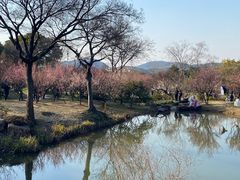 -无锡梅园公园