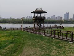 -滨湖塘西河公园
