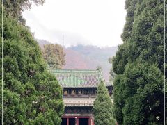 -报恩寺(平武县)