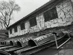 -鲁镇