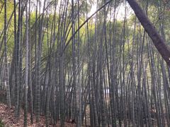 -杭州黄龙洞
