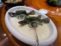 -陶缘一号·四季缘·老字号顺德菜·户外婚礼家宴(西滘店)
