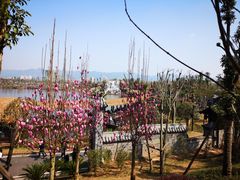 -枫香湖儿童公园