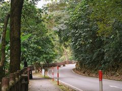 -广州市石门国家森林公园