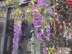 -花里花店(唐镇阳光天地店)