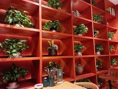 -古觉面片(科技路天朗蓝湖树店)