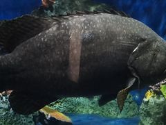 -泉州海丝野生动物世界