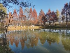 -西安浐灞国家湿地公园