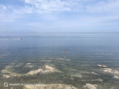 -养马岛旅游度假区