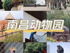 -南昌动物园