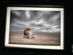 -罗红摄影艺术馆