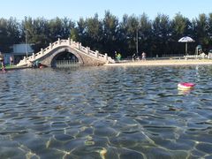 -柳浪游泳场