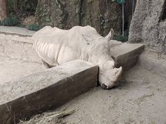 -杭州野生动物世界