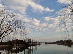 -贡湖湾湿地公园