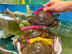 -辣螃铠盆盆蟹大排档(总店)