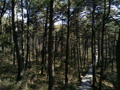 -长春净月潭风景名胜区