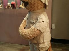 android_upload_pic-济州岛泰迪熊博物馆