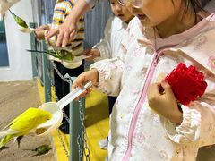 -上海大自然野生昆虫馆(东方明珠·爬宠昆虫探索中心)