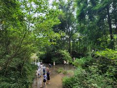 -桤木河湿地公园