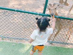 -大连铭湖国际观光牧场