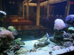 -芽庄MP泰式海鲜海景餐厅