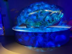 -烟台海昌鲸鲨海洋公园