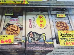 -网走流冰观光破冰船极光号