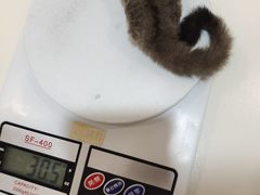 -立德动物医院·24小时中心(番禺区院区)