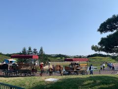 -迪茵湖田家舍生态农场
