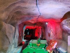 -南宫五洲植物乐园