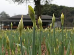 -保利石象湖景区