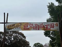 -上海月湖雕塑公园