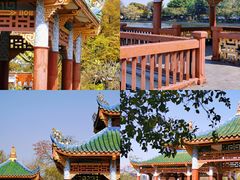 -中山公园