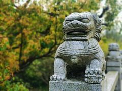 -同里国家湿地公园