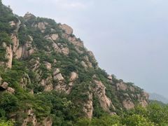 -大岭沟猕猴桃谷风景区