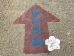 -南湖湿地公园