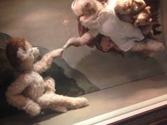 泰迪熊博物馆-济州岛泰迪熊博物馆